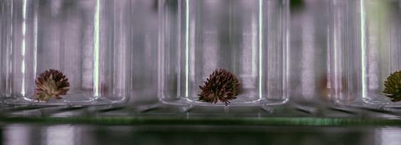 Startup Incubator and Accelerator Are Not One and the Same